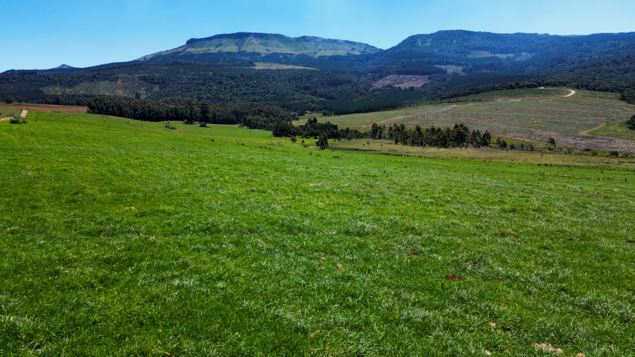 0 Bedroom Property for Sale in Stutterheim Rural Eastern Cape